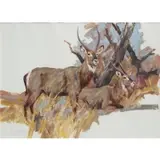 Attr.Vic Guhrs, Study of Sable Antelope, Oil on paper