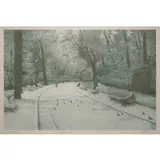 Harlod Altman, Pigeons III, 1977, Lithograph
