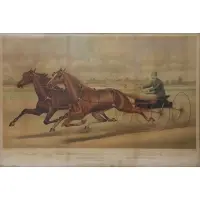 Nicholas Winfield Scott Leighton, Celebrated Trotting Team Edward & Swiveller