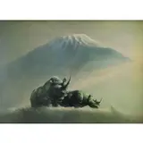Douglas Van Howd, Rhino in Landscape