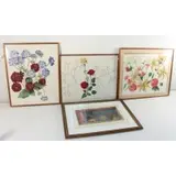 Lorraine Gill, Untitled, Grouping of Three Watercolors and One Etching