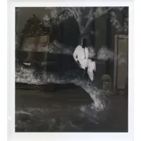 Baum/Tree by Iris Klein, 2005, Lambda print, offered Apr 2022