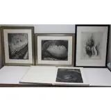 Georgia O'Keeffe, Georgia O'Keeffe Drawings