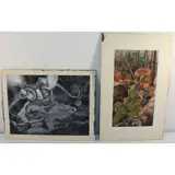 Al Scully, Illustrations, Grouping of two watercolors