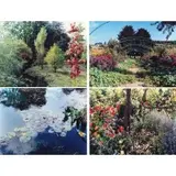 Stephen Shore, Monet's Garden