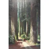 Charles Thellar Wilson, Founder's Grove, Oil on canvas