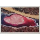 Guy Laliberte, Algeria, south of Alger, Sidi Bakhti, 2009, Color photograph on cotton paper