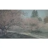 Wallace Nutting, Orchard Shadow