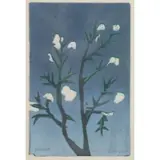 Isaac Holtz, Manna, 1991, Linocut in Colors