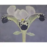 Buffie Johnson, Pasiphae III, Large Oil on Canvas "Pasiphae III"