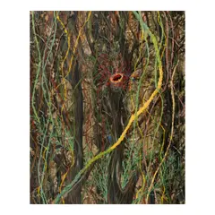 Raffy Napay, Untitled, thread on canvas