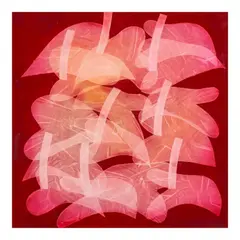 Romulo Olazo, Diaphanous Anthuriums #152 (Cat # 25390), oil on canvas