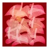 Romulo Olazo, Diaphanous Anthuriums #152 (Cat # 25390), oil on canvas