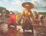 José Pereira, Planting Rice