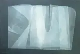 Romulo Olazo, Diaphanous