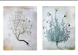 Menchu Katigbak Collection, Set of English Prints