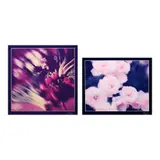 Jaime Zobel De Ayala, a.) Untitled
b.) Untitled, b.) hand-signed and dated 1990 (lower right)<br> photograph<br> 9” x 11” (23 cm x 28 cm)