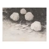 Gapas, Untitled, graphite on paper