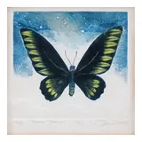 Omar Noble, Trojana (Palawan), print 12/30