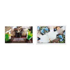 Glenn Bautista, A Lot of Two Artworks, b.) Blue Flower<br /> hand-signed and 2003 (lower right)<br /> print 1/1<br /> 12" x 18" (30 cm x 46 cm)