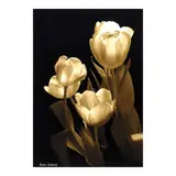 Bien Cabral, Still Life, photographic print on archival paper