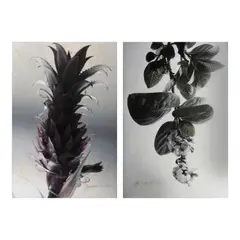 Ross Capili, a.) Untitled b.) Untitled, b.) hand-signed and dated 2005 (lower left)<br /> print, A/P<br /> 20 1/2" x 13 3/4" (52 cm x 35 cm)