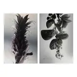 Ross Capili, a.) Untitled b.) Untitled, b.) hand-signed and dated 2005 (lower left)<br /> print, A/P<br /> 20 1/2" x 13 3/4" (52 cm x 35 cm)