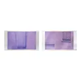 David Sheekwan, a.) 13 Santa Fe New Mexico 1999 b.) 12 Santa Fe New Mexico 1999, photograph