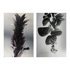 Ross Capili, a.) Untitled b.) Untitled, print, A/P