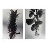 Ross Capili, a.) Untitled b.) Untitled, print, A/P