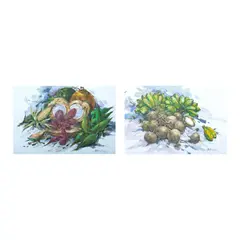 Antonio Calma, a.) Still Life b.) Still Life, a.) oil on canvas <br /> b.) oil on canvas