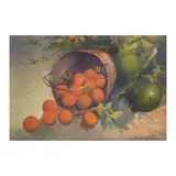 Cesar Buenaventura, Still Life