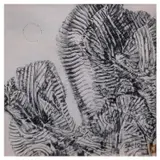 Untitled by Juvenal Sansó Garrit, ink on paper, offered Jul 2023