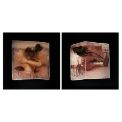 Brave M. Singh, a. Lilia b. The Jeep, acrylic on melted fabric, plastic on photograph