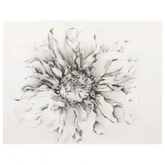 Untitled by Isabel Diaz, sketch on arch paper, offered Jul 2023