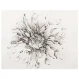 Isabel Diaz, Untitled