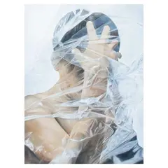 Julmard Vicente, Plastic Wrapped #69, oil on canvas