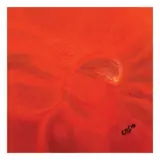 Allan Cosio, Abstract, oil on canvas