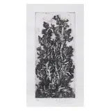 Juvenal Sansó Garrit, Untitled, print, 7/30