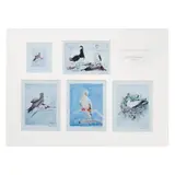 Benedicto Cabrera, Birds of Tubbataha (framed)