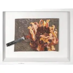 Jonathan Ching, Untitled, oil on paper and found object mounted on a shadow box