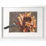 Jonathan Ching, Untitled, oil on paper and found object mounted on a shadow box