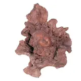 Ton Raymundo, Woman’s Head, terracotta