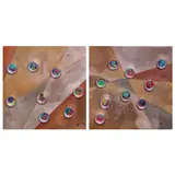 Joel E. Ferraris, a) Pry-Buzz-See 2-14a Plastic
b) Pry-Buzz-See 2-14B Plastic Bubbles, digital printouts mixed media on canvas