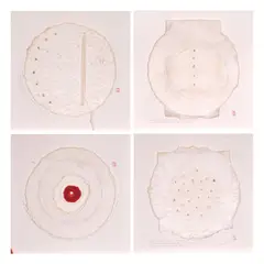 Noell El Farol, a) Cosmic Symbols...
b) Absence of a Single Term...
c) The Handmade Pottery...
d) Series of Empty Square Enclosures..., handmade ceramic paper glass