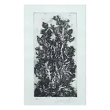 Juvenal Sansó Garrit, Untitled, etching