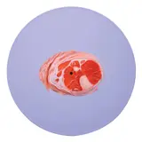 Buboy Canafranca, Untitled (Meat Painting), oil and acrylic on vinyl record