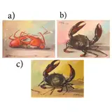 J.D. Castro, Study of Alimango