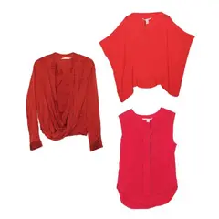 3 Assorted Women’s Top Red by Diane Von Furstenberg, offered Nov 2020