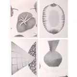 Raul Lebajo, Untitled I - IV